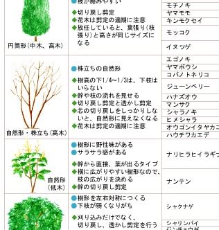 樹型種類|樹木・木の図鑑｜かぎけんWE